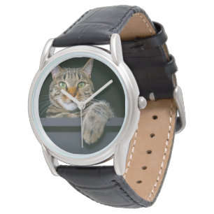 Cutest Baby Animals   Grey Tabby Cat Face Watch