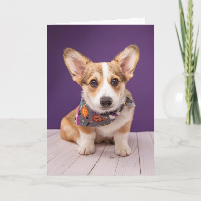 Cutest Baby Animals | Halloween Corgi Card (Front)