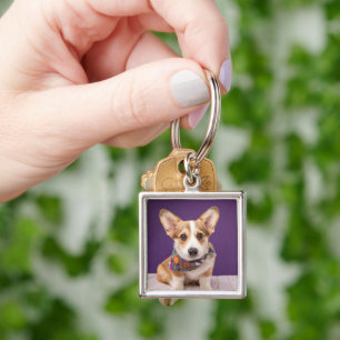 Cutest Baby Animals   Halloween Corgi Key Ring