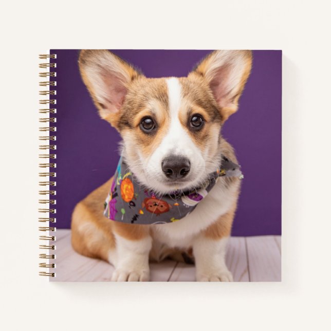 Cutest Baby Animals | Halloween Corgi Notebook (Front)