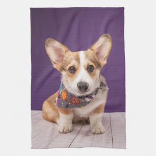 Cutest Baby Animals   Halloween Corgi Tea Towel