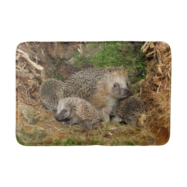 Cutest Baby Animals | Hedgehog Family Bath Mat (Front)