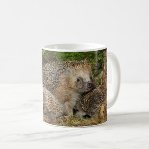 Cutest Baby Animals   Hedgehog Family Coffee Mug
