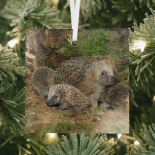 Cutest Baby Animals Hedgehog Family Glass Tree Decoration