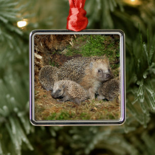 Cutest Baby Animals   Hedgehog Family Metal Tree Decoration