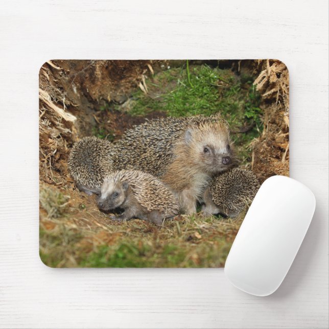 Cutest Baby Animals | Hedgehog Family Mouse Pad (With Mouse)