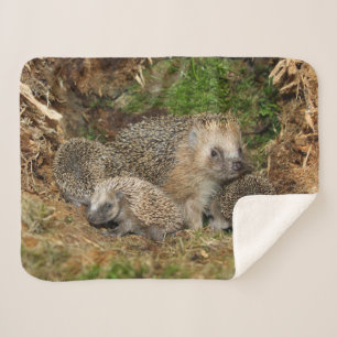 Cutest Baby Animals Hedgehog Family Sherpa Blanket