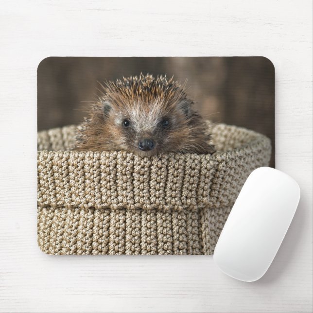 Cutest Baby Animals | Hedgehog in a Basket Mouse Pad (With Mouse)