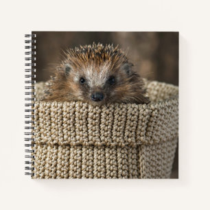 Cutest Baby Animals Hedgehog in a Basket Notebook