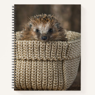 Cutest Baby Animals Hedgehog in a Basket Notebook