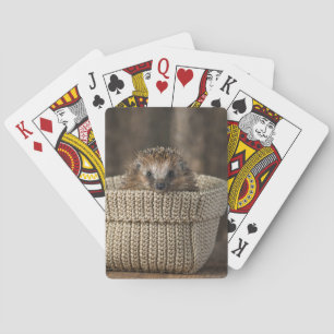 Cutest Baby Animals Hedgehog in a Basket Playing Cards