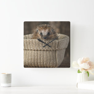 Cutest Baby Animals Hedgehog in a Basket Square Wall Clock