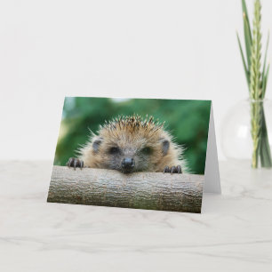 Cutest Baby Animals Hedgehog Smile Card