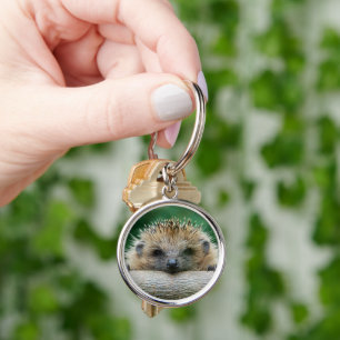 Cutest Baby Animals   Hedgehog Smile Key Ring