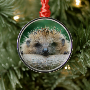 Cutest Baby Animals Hedgehog Smile Metal Tree Decoration