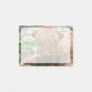 Cutest Baby Animals   Highland Cow Calf Post-it Notes