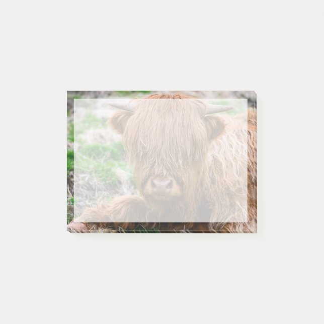 Cutest Baby Animals | Highland Cow Calf Post-it Notes (Front)