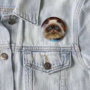 Cutest Baby Animals Himalayan Cat 6 Cm Round Badge