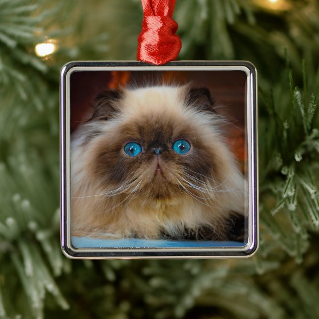 Cutest Baby Animals | Himalayan Cat Metal Tree Decoration (Tree)