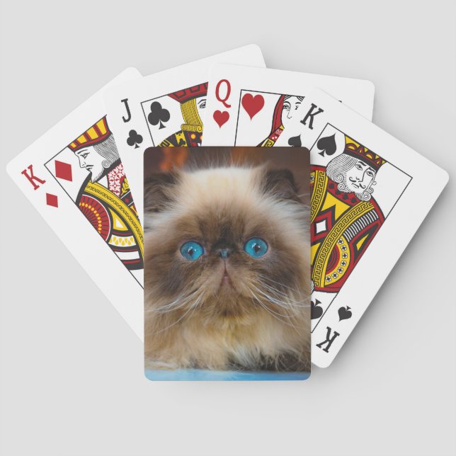 Cutest Baby Animals | Himalayan Cat Playing Cards (Back)