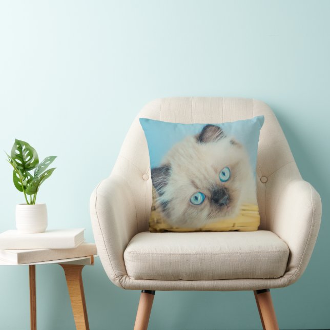 Cutest Baby Animals | Himalayan Seal Point Cat Cushion (Chair)