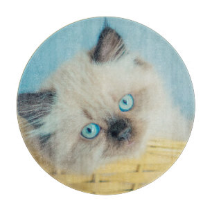 Cutest Baby Animals Himalayan Seal Point Cat Cutting Board
