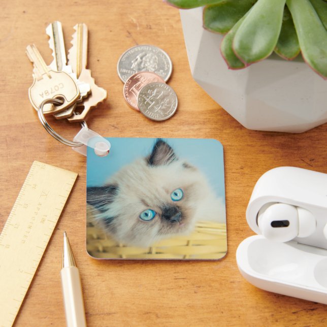 Cutest Baby Animals | Himalayan Seal Point Cat Key Ring (Desk)