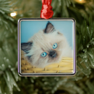 Cutest Baby Animals Himalayan Seal Point Cat Metal Tree Decoration
