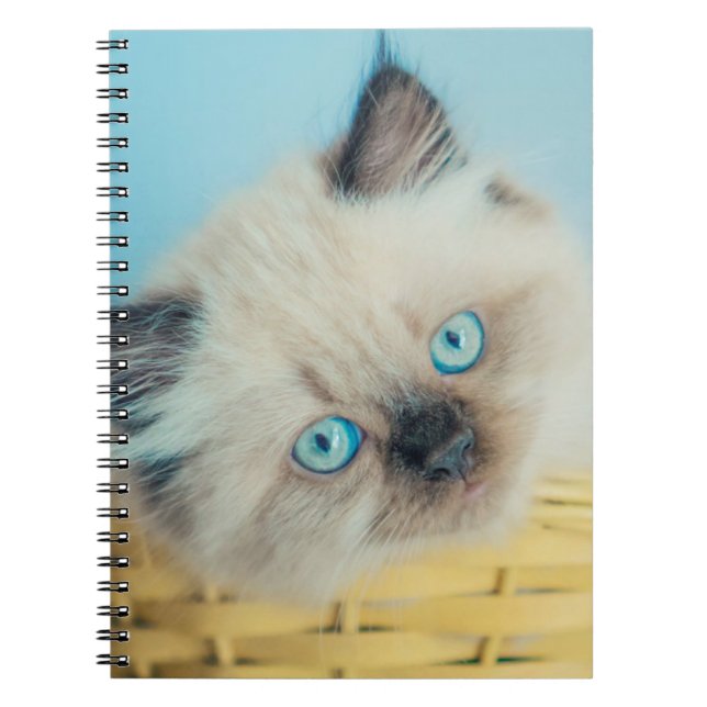 Cutest Baby Animals | Himalayan Seal Point Cat Notebook (Front)