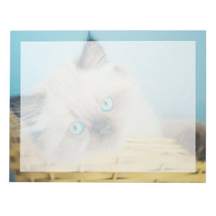Cutest Baby Animals Himalayan Seal Point Cat Notepad