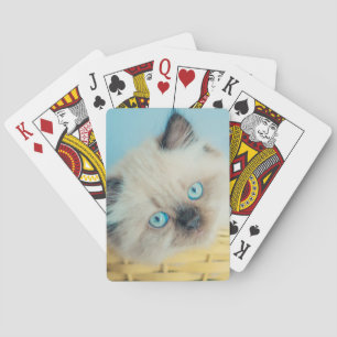 Cutest Baby Animals Himalayan Seal Point Cat Playing Cards