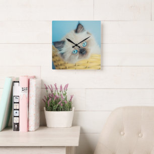 Cutest Baby Animals   Himalayan Seal Point Cat Square Wall Clock