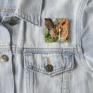 Cutest Baby Animals Horse Colt 15 Cm Square Badge
