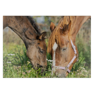 Cutest Baby Animals Horse Colt Cutting Board