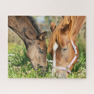 Cutest Baby Animals Horse Colt Jigsaw Puzzle