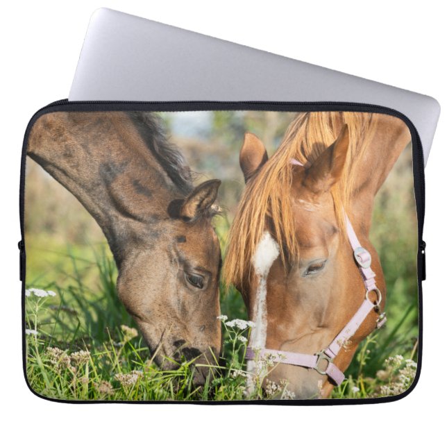 Cutest Baby Animals | Horse Colt Laptop Sleeve (Front)