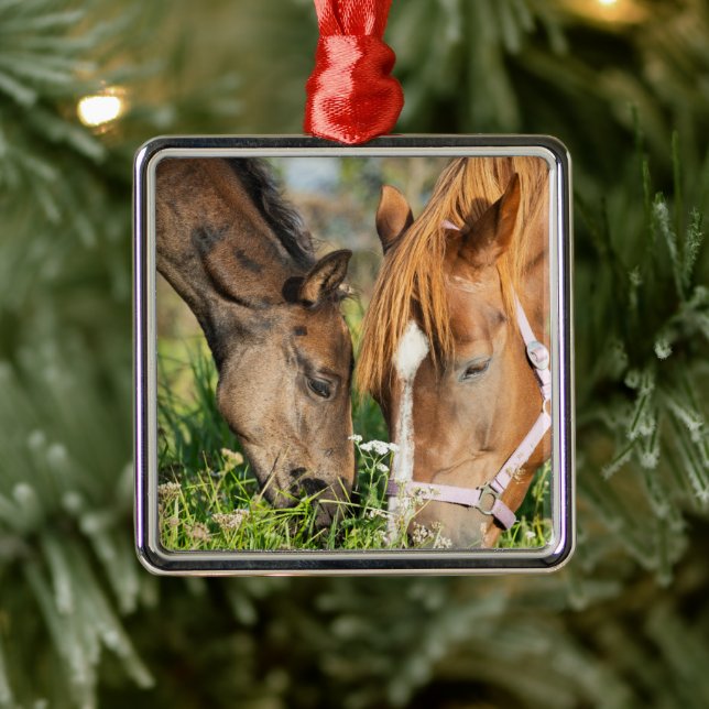 Cutest Baby Animals | Horse Colt Metal Tree Decoration (Tree)