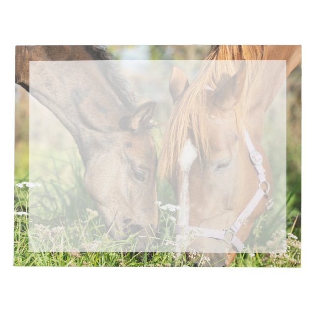 Cutest Baby Animals | Horse Colt Notepad (Front)