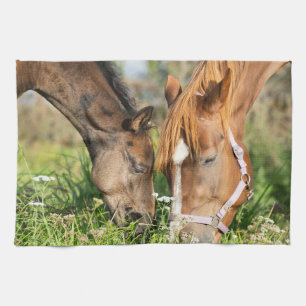 Cutest Baby Animals Horse Colt Tea Towel