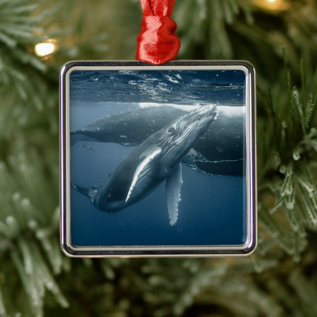 Cutest Baby Animals | Humpback Whale Calf Metal Tree Decoration (Tree)