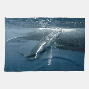 Cutest Baby Animals Humpback Whale Calf Tea Towel