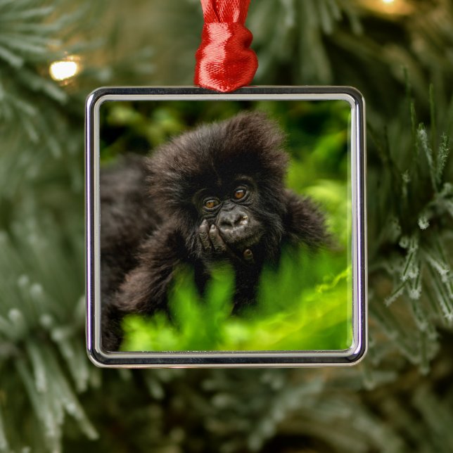 Cutest Baby Animals | Infant Mountain Gorilla Metal Tree Decoration (Tree)