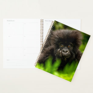 Cutest Baby Animals Infant Mountain Gorilla Planner