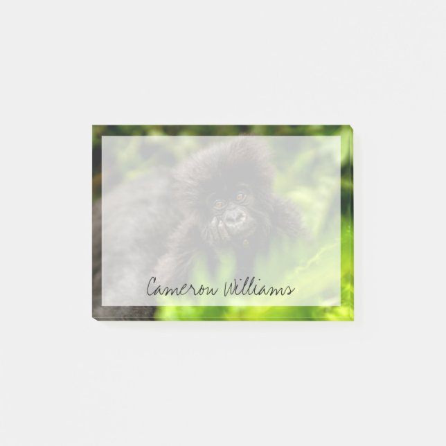 Cutest Baby Animals | Infant Mountain Gorilla Post-it Notes (Front)