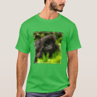 Cutest Baby Animals | Infant Mountain Gorilla