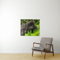 Cutest Baby Animals | Infant Mountain Gorilla