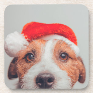 Cutest Baby Animals Jack Russell Dog Santa Claus Coaster