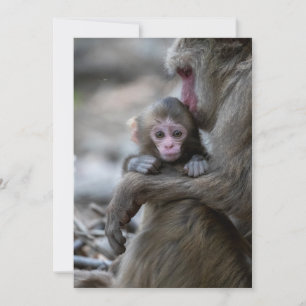 Cutest Baby Animals   Japanese Monkey & Baby Thank You Card