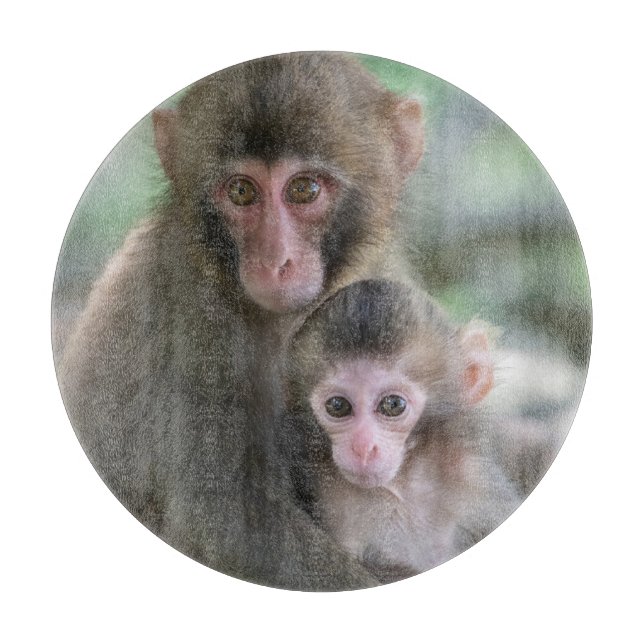 Cutest Baby Animals | Japanese Monkeys Cutting Board (Front)