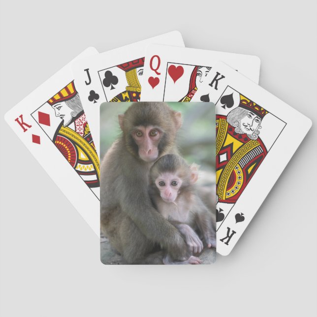 Cutest Baby Animals | Japanese Monkeys Playing Cards (Back)